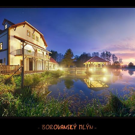 Borovansky Mlyn Borovany  Экстерьер фото